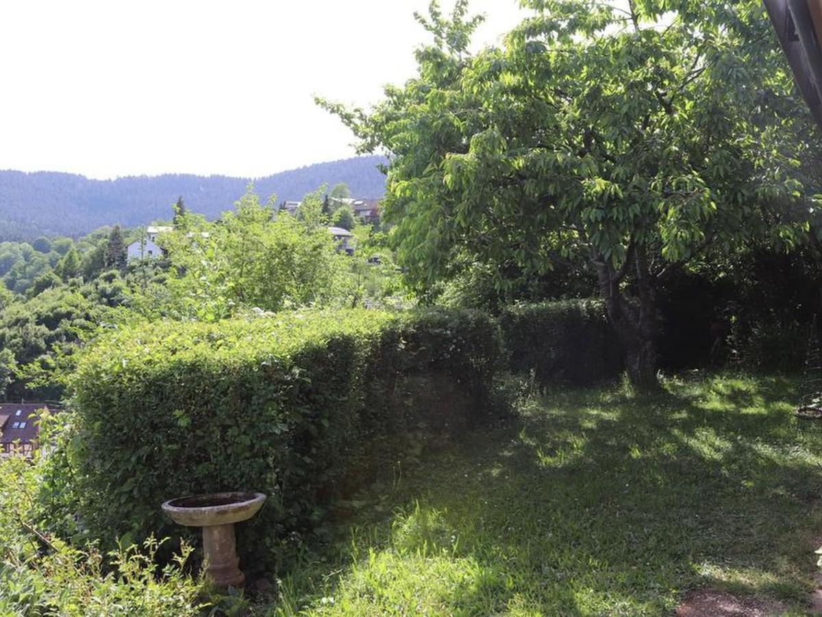 Haus Hoehneck 1 Alpirsbach Esterno foto