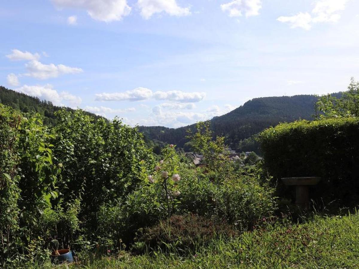 Haus Hoehneck 1 Alpirsbach Esterno foto